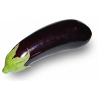 Aubergine