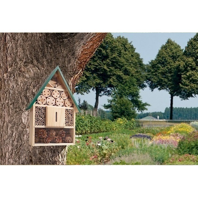 Insectenkasten