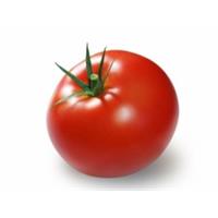 Tomaten