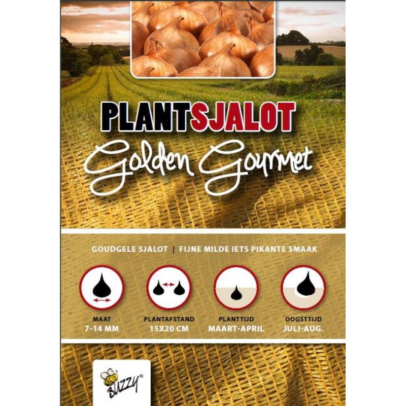 Plantsjalotten Golden Gourmet 250g