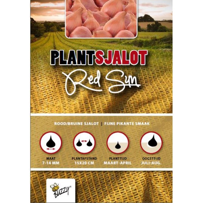 Rode Plantsjalotten Red Sun 250g