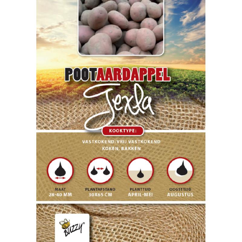 Pootaardappel Texla 1kg