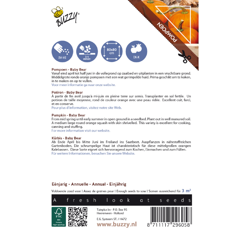 Ornamental Pompoen, Wintersquash Baby Bear