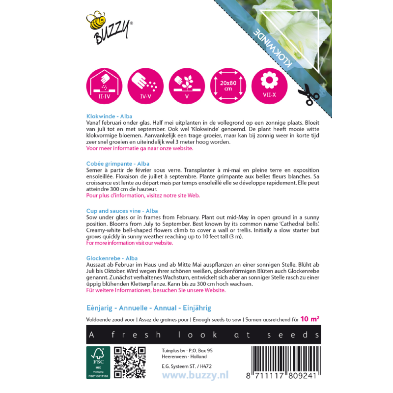 Climbing Flowers Cobaea, Klokwinde Alba Wit