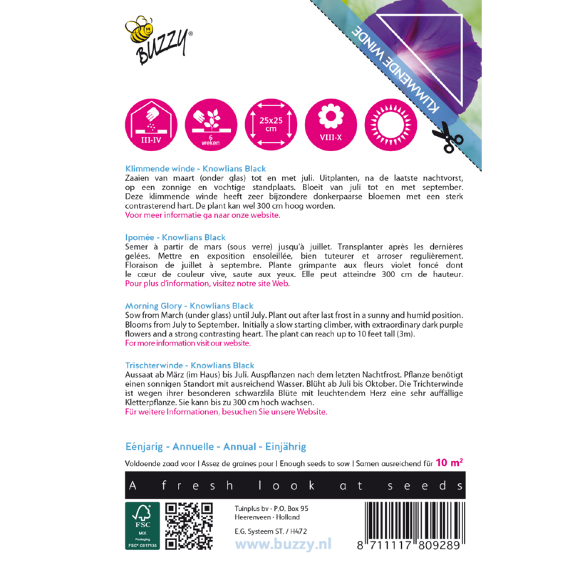 Climbing Flowers Ipomoea, Klimmende winde Knowlians Black