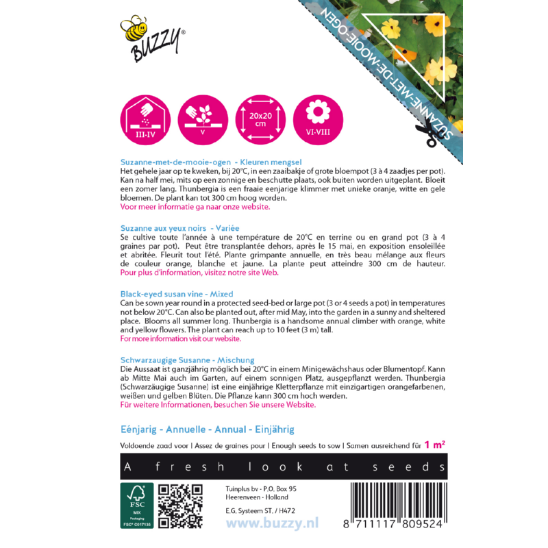 Climbing Flowers Thunbergia, Suzanne-met-mooie-ogen