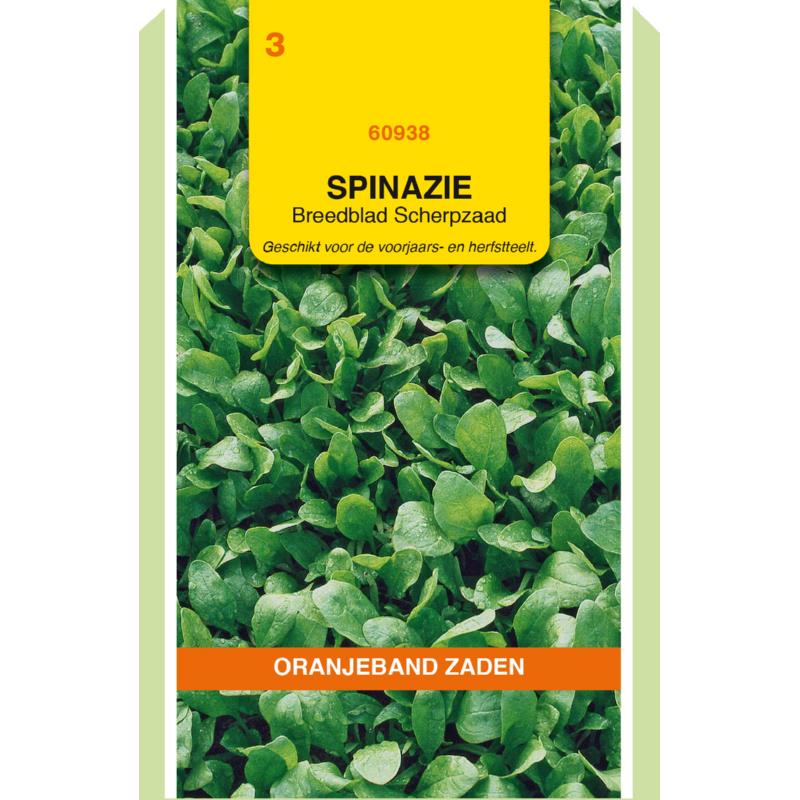 Spinazie Breedblad Scherpzaad, 50 gram