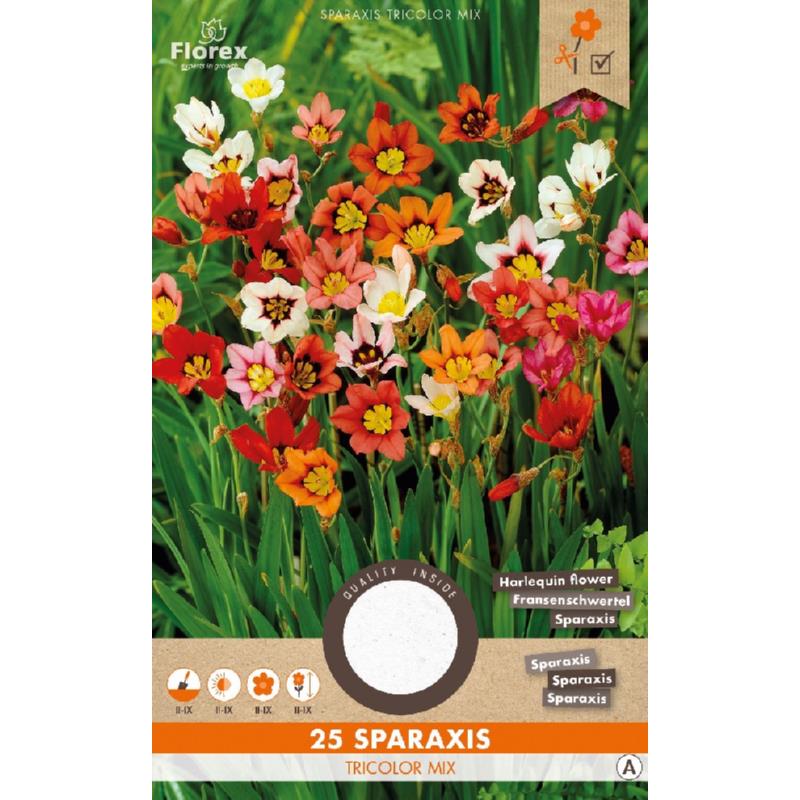 Sparaxis mix, 25 stuks