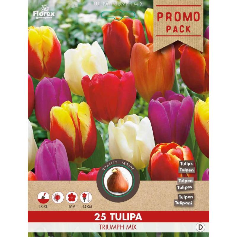 Triumph Tulpen, 25 bollen