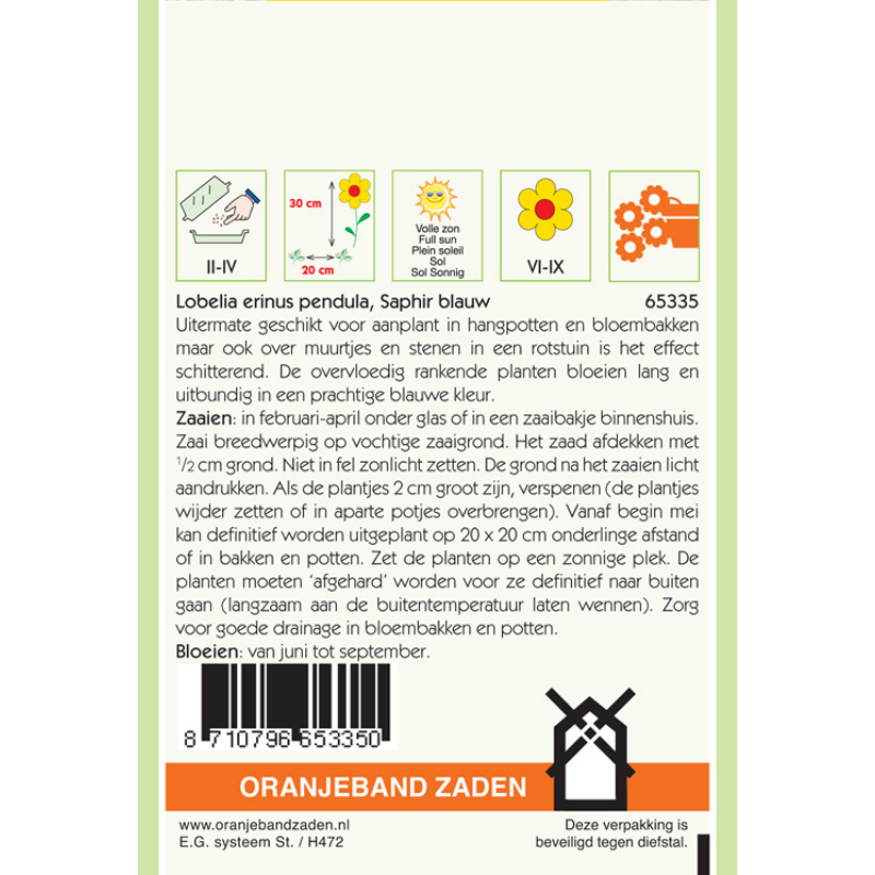 Lobelia Saphir, blauw