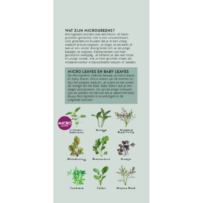 Brochure Buzzy Microgreens