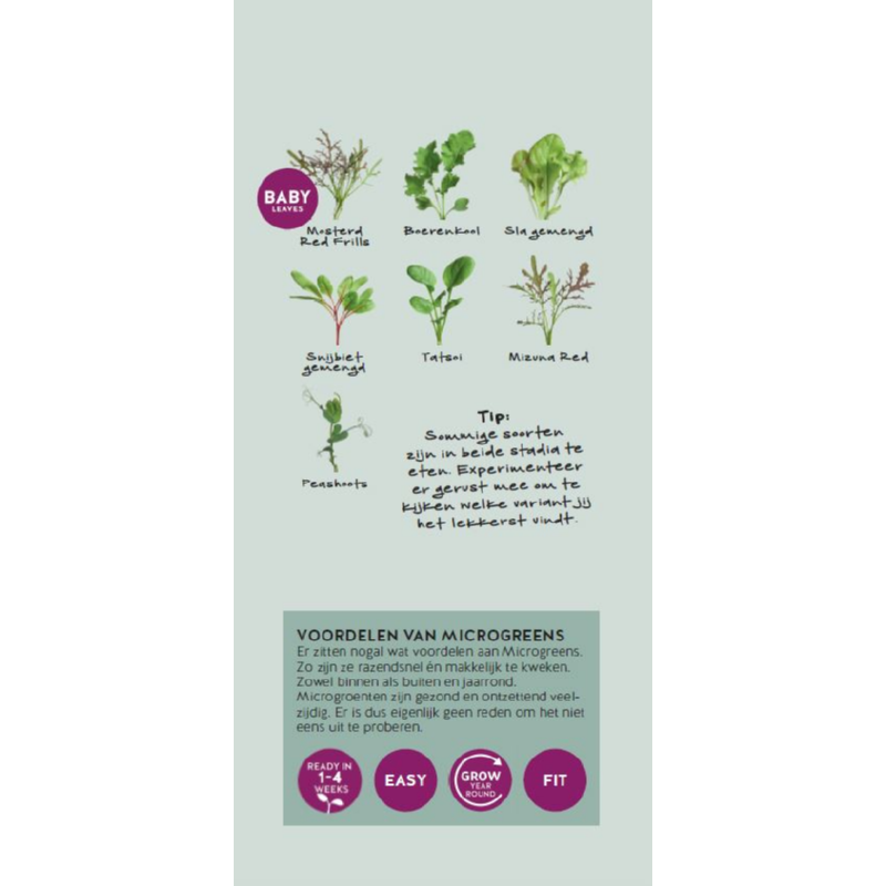 Brochure Buzzy Microgreens