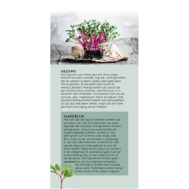 Brochure Buzzy Microgreens