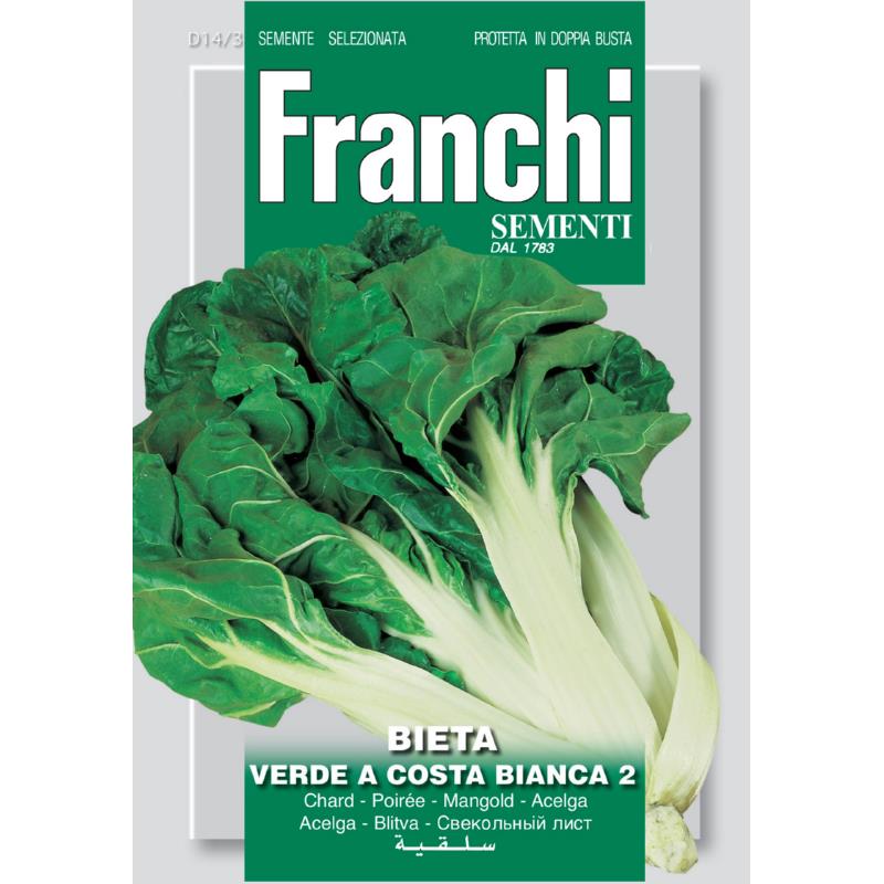 Snijbiet, Bietola verde a costa bianca 2