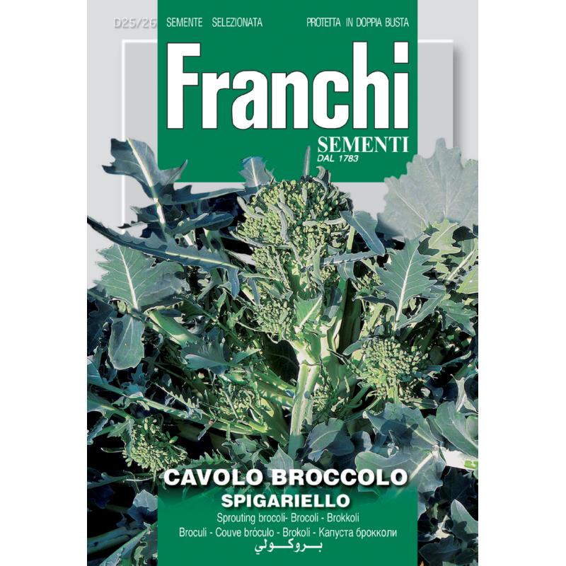 Broccoli, Cavolo Broccolo Spigariello