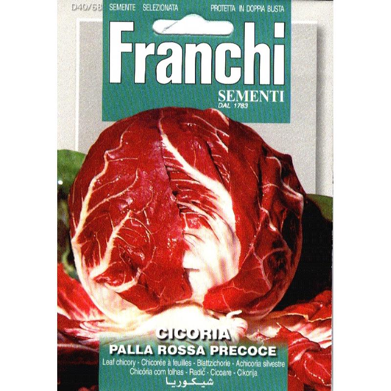 Roodlof, Cicoria Palla Rossa Precoce