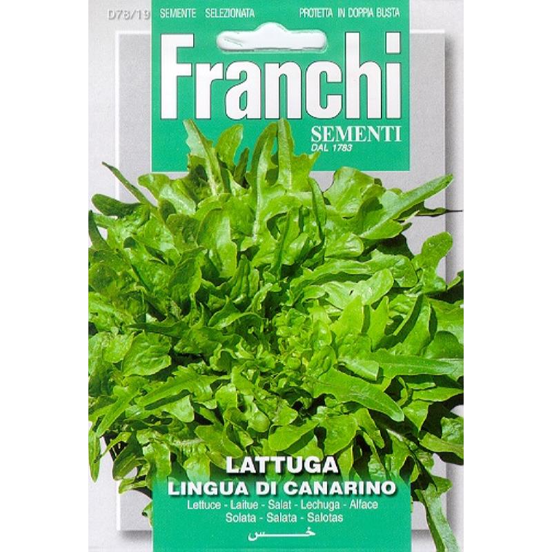 Kropsla, Lattuga Lingua Di Canarino