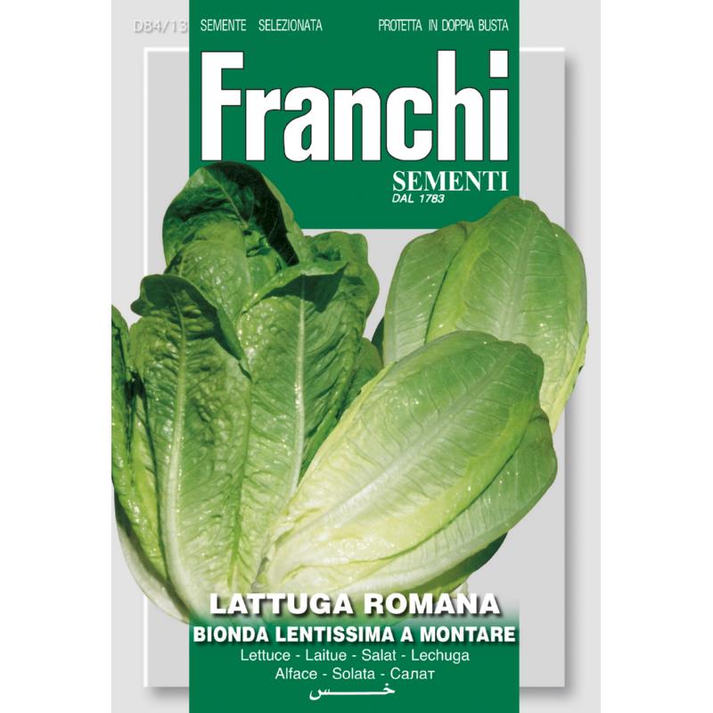 Sla 4 jaargetijde, Lattuga Bionda