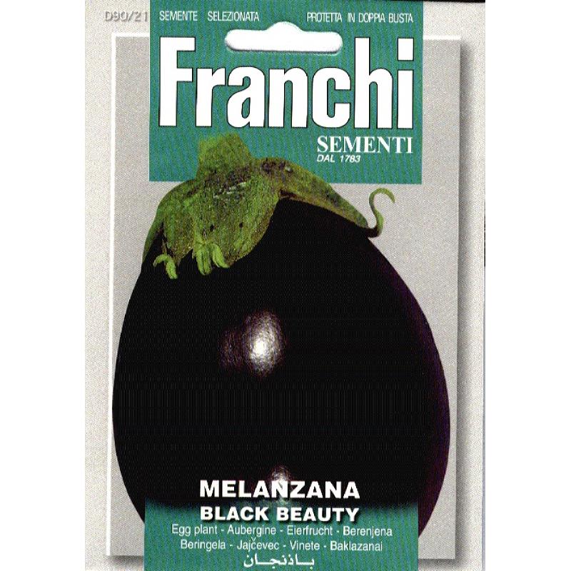 Aubergine, Melanzana Black Beauty