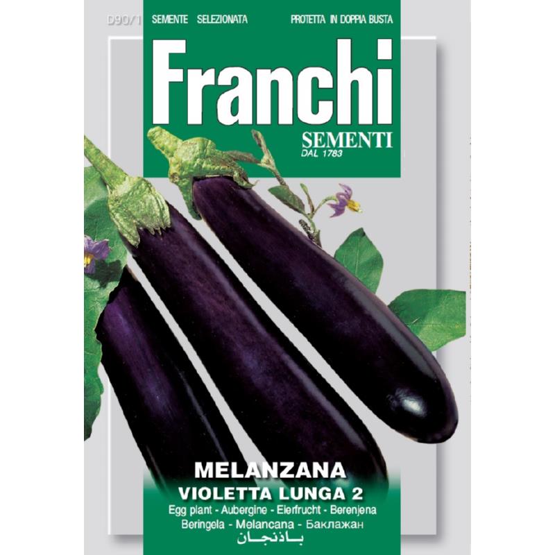 Aubergine, Melanzana Violetta Lunga 2