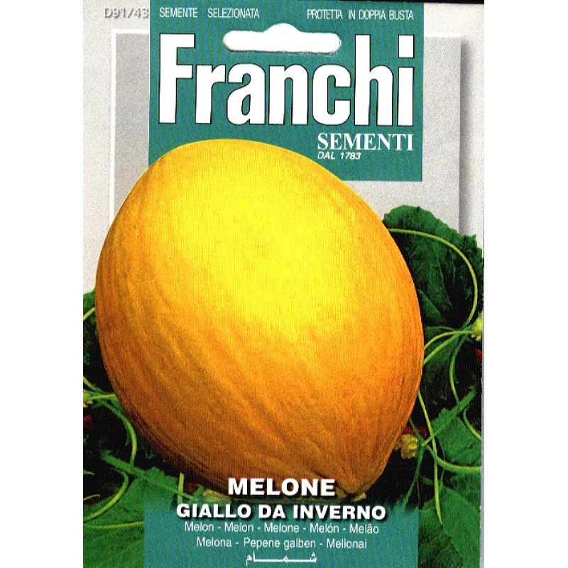 Meloen, Melone Giallo Da Inverno