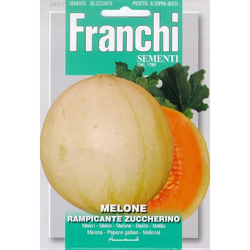 Meloen, Melone Rampicante Zuccherino