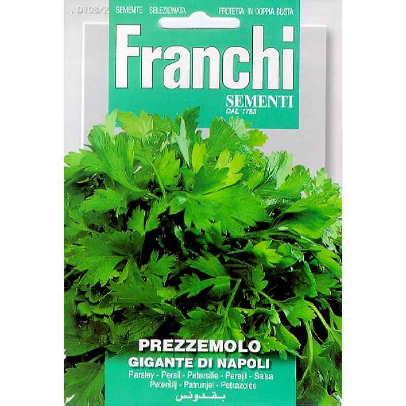 Peterselie, Prezzemolo Gigante Di Napoli