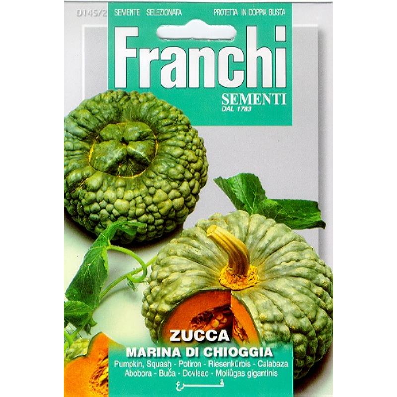 Pompoen Zucca marina di Chioggia