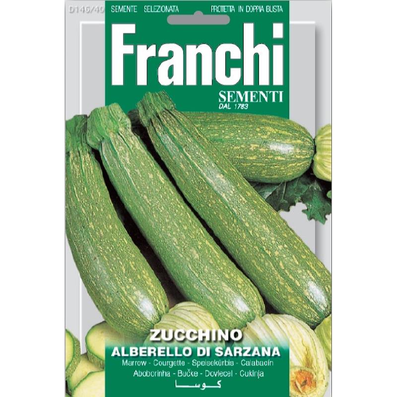 Courgette, Zucchino Alberello Di Sarzana