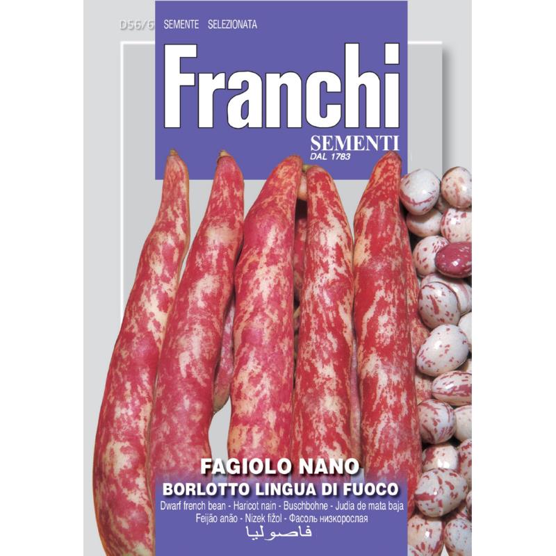 Stamboon Kievits laag, Fagiolo Borlotto, 50 gram