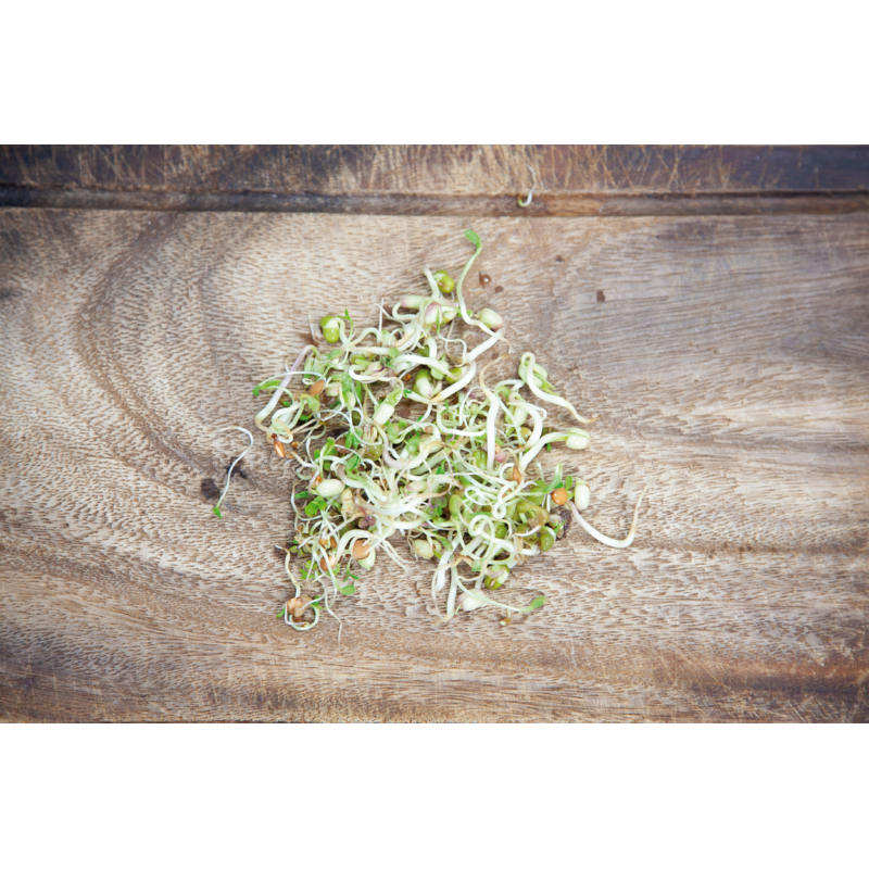 Spruitgroente Salademix met glazen pot