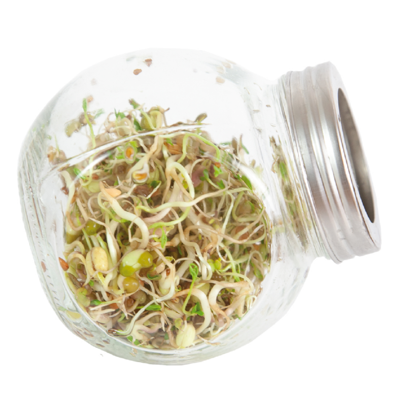 Spruitgroente Salademix met glazen pot