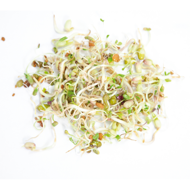 Spruitgroente Salademix met glazen pot