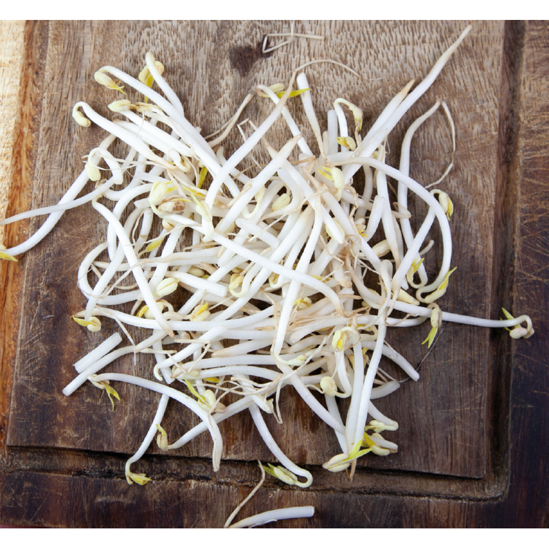 Spruitgroente Tauge met glazen pot