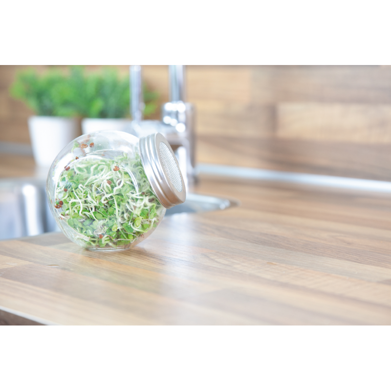 Spruitgroente Daikon met glazen pot