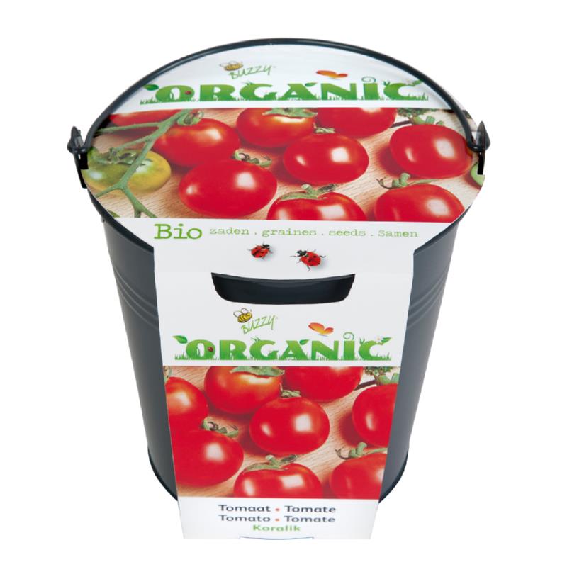 Emmertje met biologische tomaat Koralik