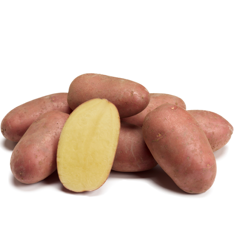 Pootaardappel Bio Raja/ Alouette 1kg