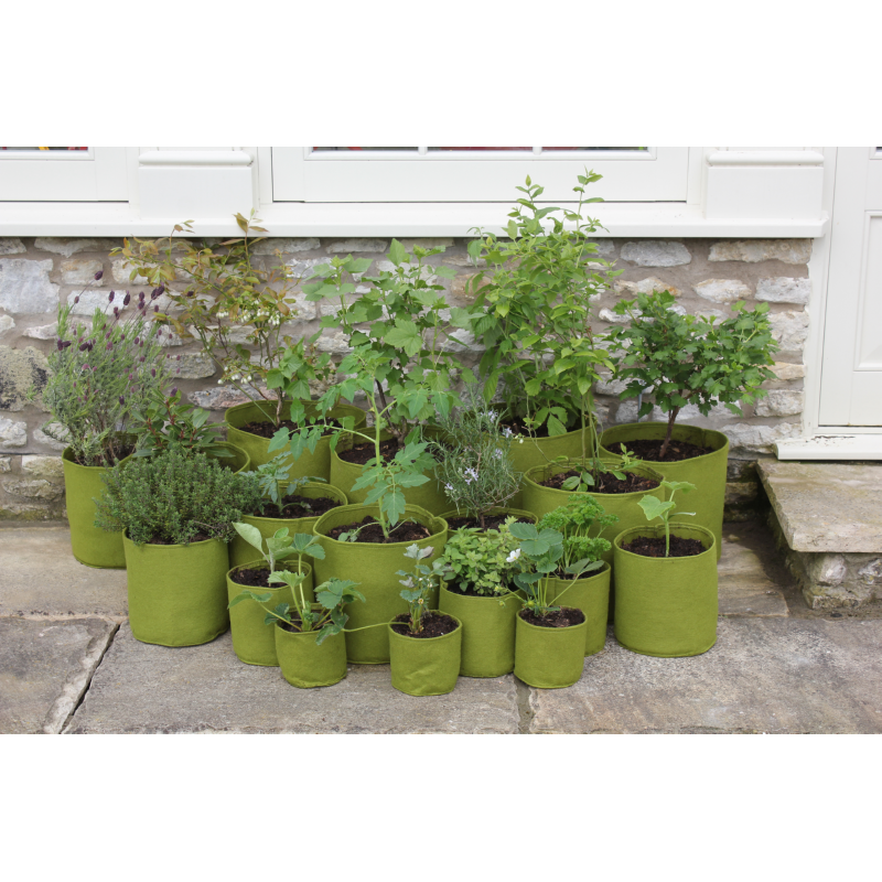 Vigoroot Plantzak 10 liter, 3-pack