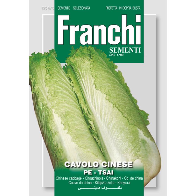 Bladkool, Cavolo Cinese Pe-Tsai