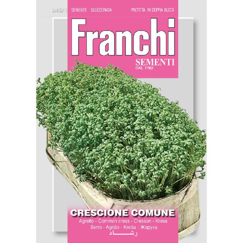 Tuinkers Crescione Comune