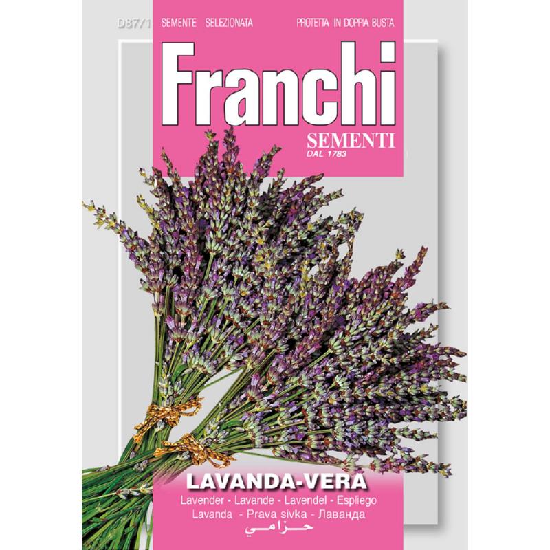 Lavendel, Lavanda Vera