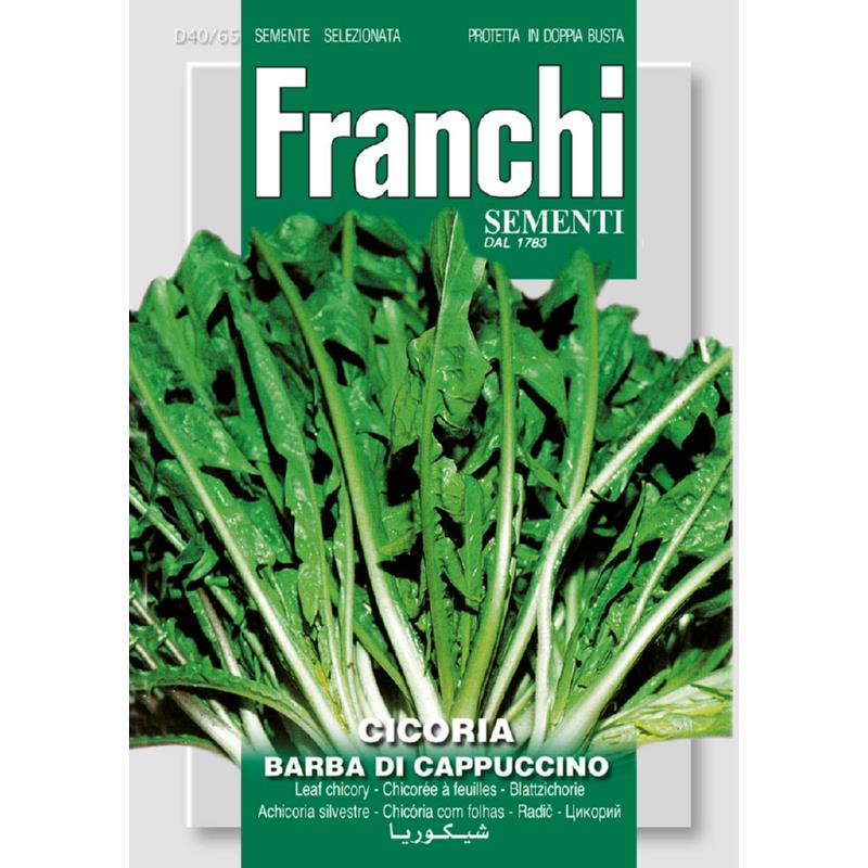 Lof, Cichorei, Cicoria Barba di cappuccino