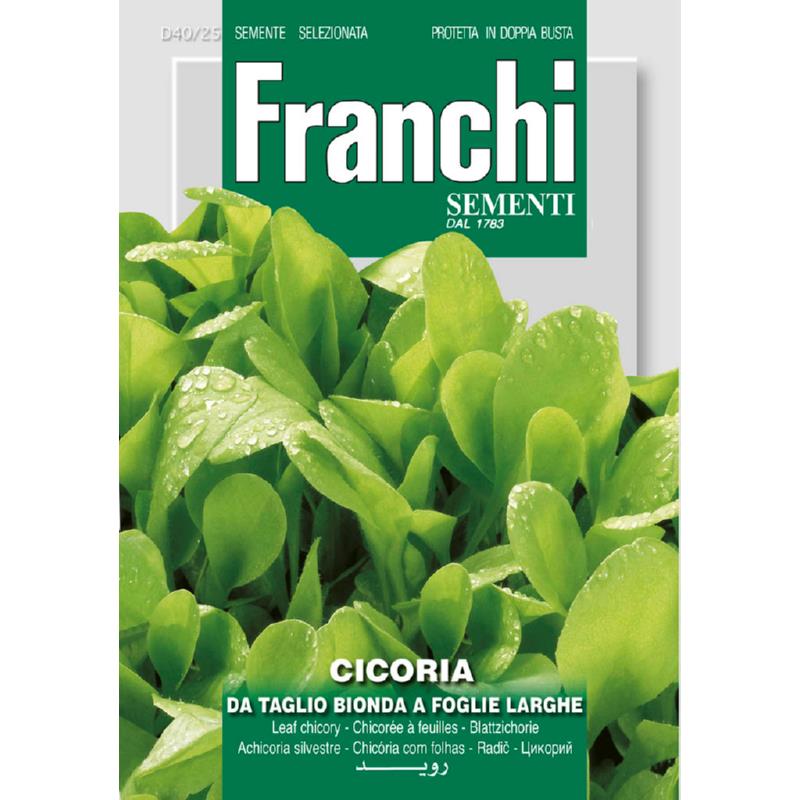 Cichorei, Cicoria Bonda foglie larghe