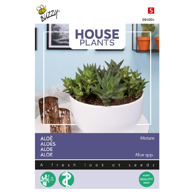 House Plants Aloë gemengde soorten
