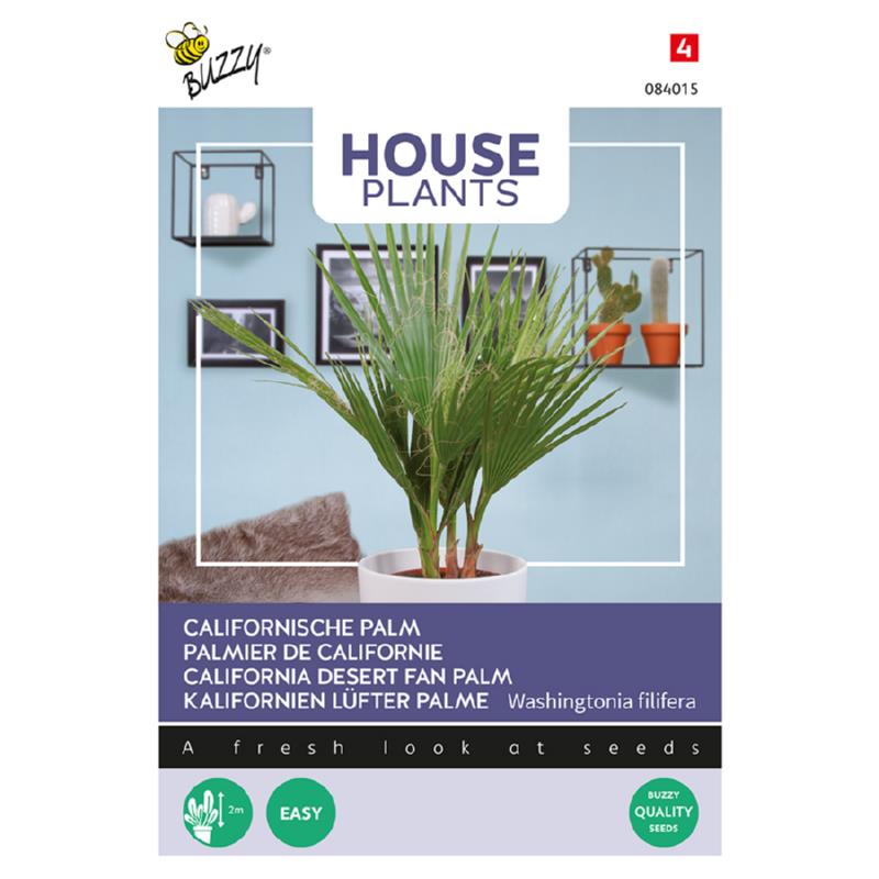House Plants Californische palm