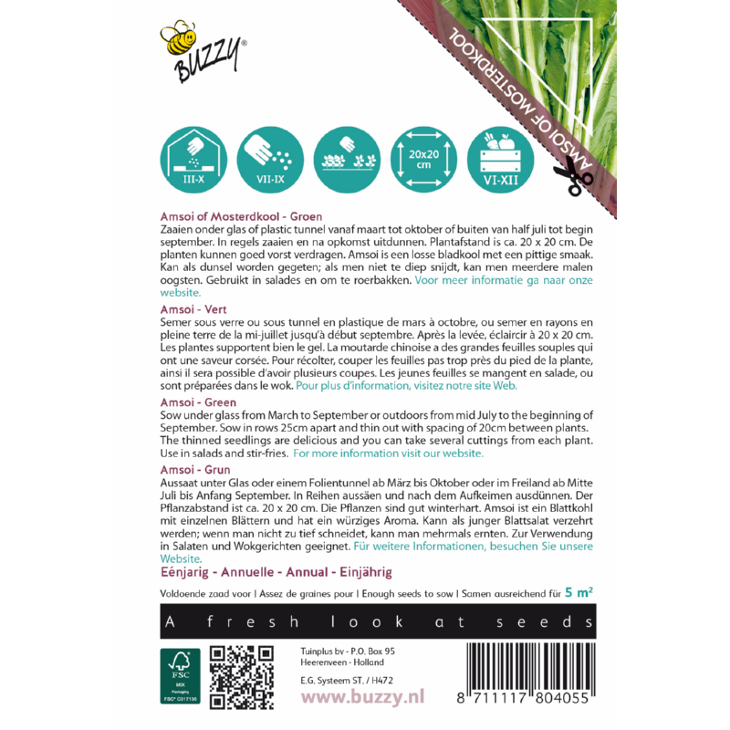 Xotica Groene Amsoi of Mosterdkool