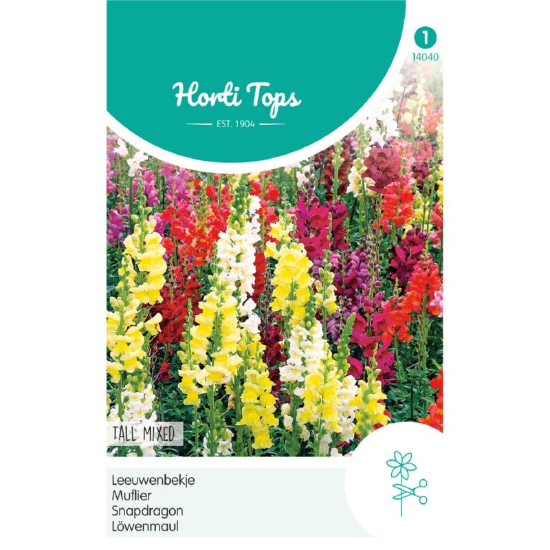 Antirrhinum, Leeuwenbekje hoog gemengd