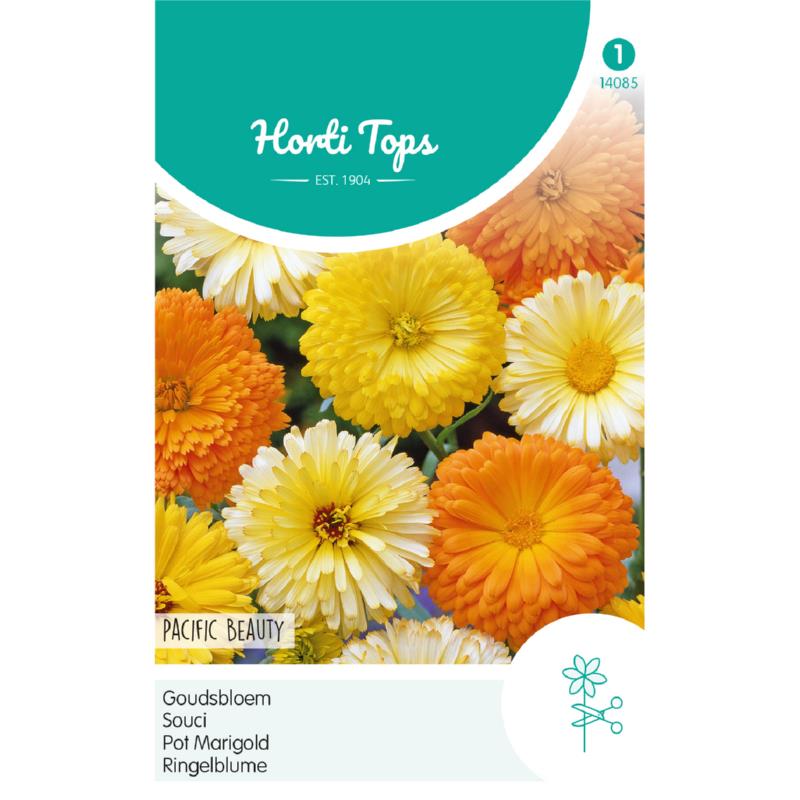 Calendula, Goudsbloem Pacific Beauty gemengd