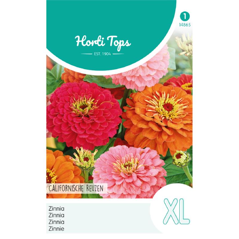 Zinnia Californische Reuzen gemengd