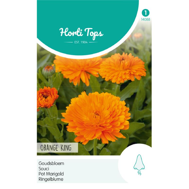 Calendula, Goudsbloem Orange King